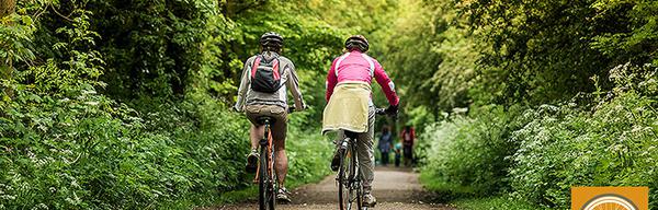 Ashbourne 3 1062640709