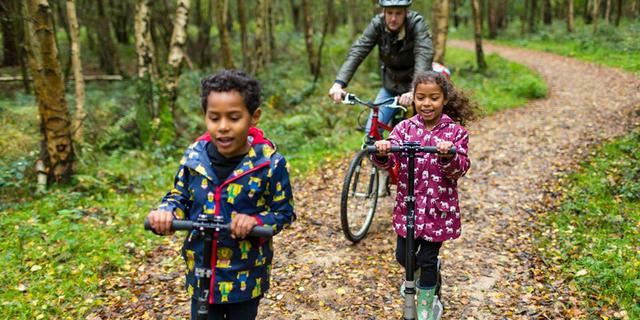 Calke Abbey 1 1205158112