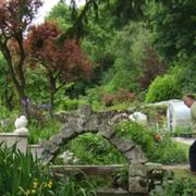 Cascade Gardens Bonsall 1 1438144319