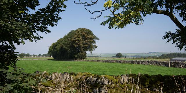 Field View from Car Park