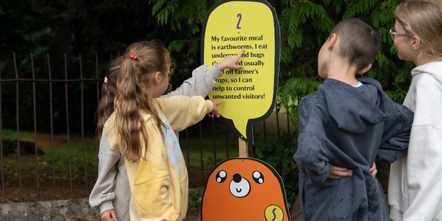 Ilam park mole trail