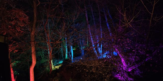 Lights of Abraham H of A trees lit up NEW