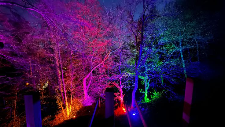 Lights1