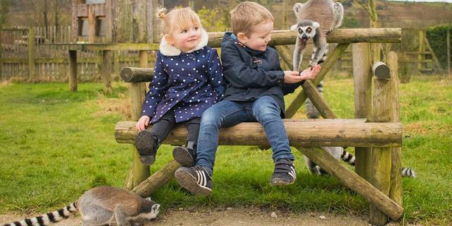 Peak wildlife 3 106987561