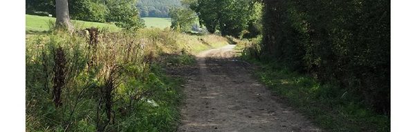 Peak E Pedal Experiences Intermediate Tour