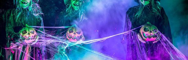 Screamtime at Elvaston Castle