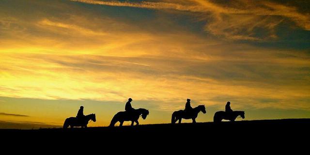 Sunset Horse Trek 2030284019