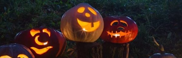 Torchlight pumkin picking at bluebells