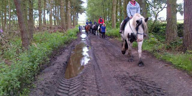 Two Dales riding school 1080407806
