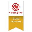 VE GOLD 2023 4 resized square