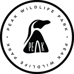 DAY VISITS New Logo copy