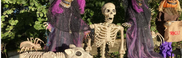 Tittesworth Water Halloween Trail
